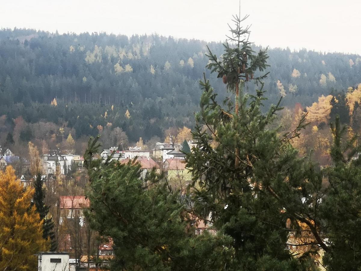 Irysek Lägenhet Lądek-Zdrój Exteriör bild